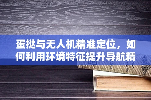 蛋挞与无人机精准定位，如何利用环境特征提升导航精度？