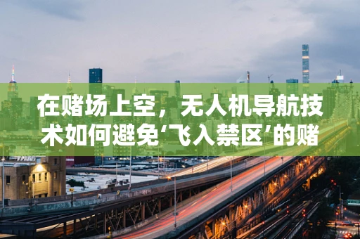 在赌场上空，无人机导航技术如何避免‘飞入禁区’的赌局？