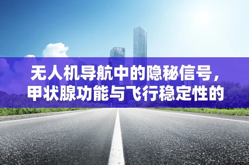 无人机导航中的隐秘信号，甲状腺功能与飞行稳定性的关联？