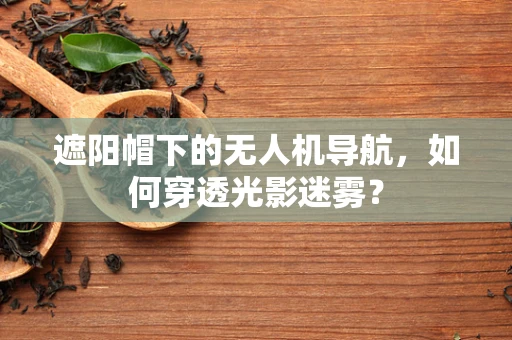 遮阳帽下的无人机导航，如何穿透光影迷雾？