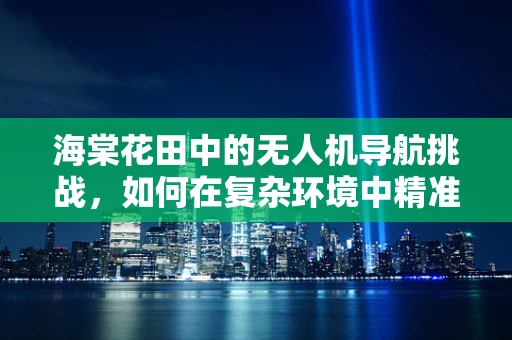 海棠花田中的无人机导航挑战，如何在复杂环境中精准定位？