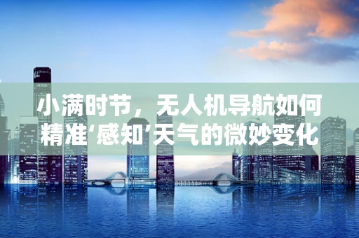 小满时节，无人机导航如何精准‘感知’天气的微妙变化？