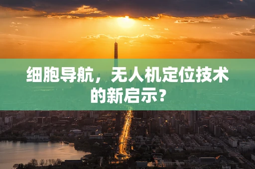 细胞导航，无人机定位技术的新启示？