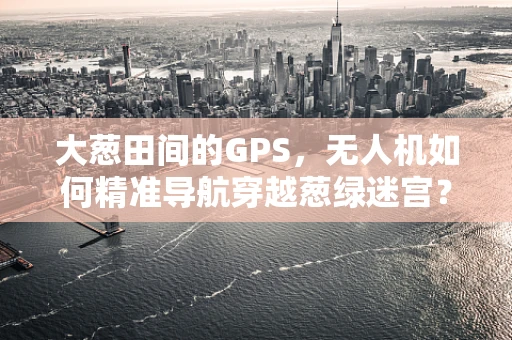 大葱田间的GPS，无人机如何精准导航穿越葱绿迷宫？