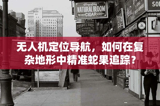 无人机定位导航，如何在复杂地形中精准蛇果追踪？