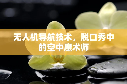 无人机导航技术，脱口秀中的空中魔术师