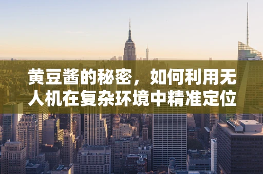 黄豆酱的秘密，如何利用无人机在复杂环境中精准定位？