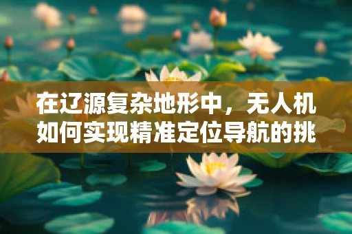 在辽源复杂地形中，无人机如何实现精准定位导航的挑战与解决方案？