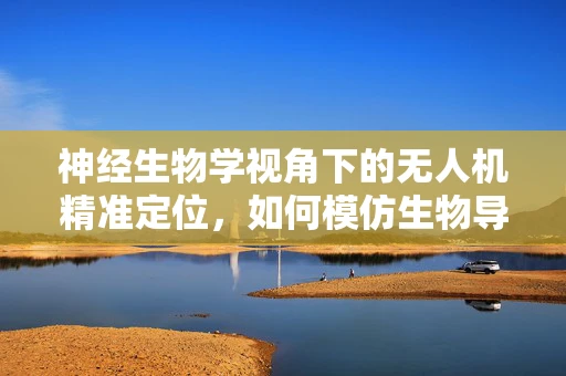 神经生物学视角下的无人机精准定位，如何模仿生物导航机制？