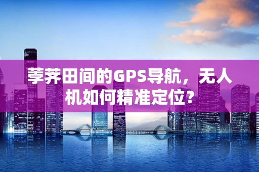 荸荠田间的GPS导航，无人机如何精准定位？