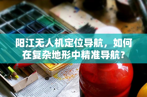 阳江无人机定位导航，如何在复杂地形中精准导航？