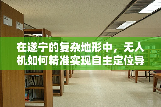 在遂宁的复杂地形中，无人机如何精准实现自主定位导航？