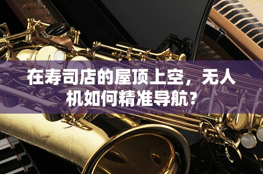 在寿司店的屋顶上空，无人机如何精准导航？
