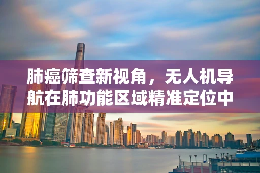 肺癌筛查新视角，无人机导航在肺功能区域精准定位中的应用挑战