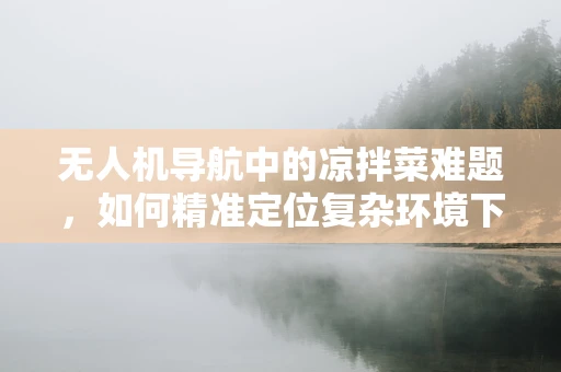 无人机导航中的凉拌菜难题，如何精准定位复杂环境下的飞行路径？