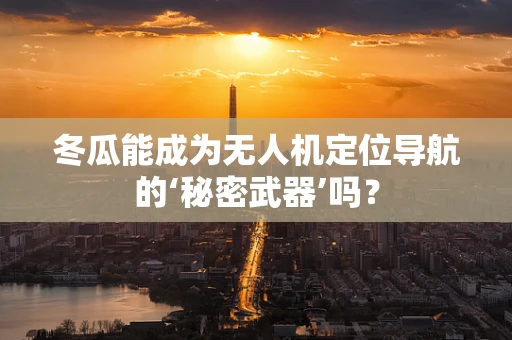 冬瓜能成为无人机定位导航的‘秘密武器’吗？