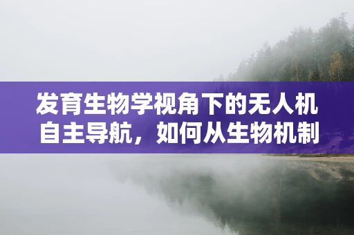 发育生物学视角下的无人机自主导航，如何从生物机制中汲取灵感？