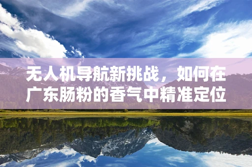 无人机导航新挑战，如何在广东肠粉的香气中精准定位？
