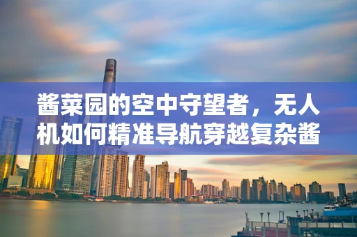 酱菜园的空中守望者，无人机如何精准导航穿越复杂酱菜窖藏区？