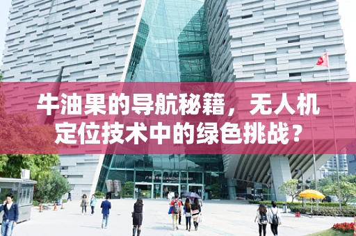 牛油果的导航秘籍，无人机定位技术中的绿色挑战？