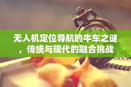 无人机定位导航的牛车之谜，传统与现代的融合挑战