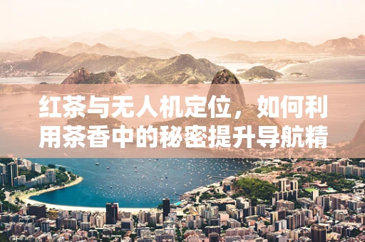 红茶与无人机定位，如何利用茶香中的秘密提升导航精度？