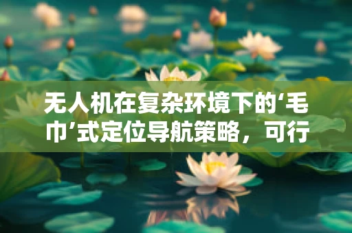 无人机在复杂环境下的‘毛巾’式定位导航策略，可行性与挑战？