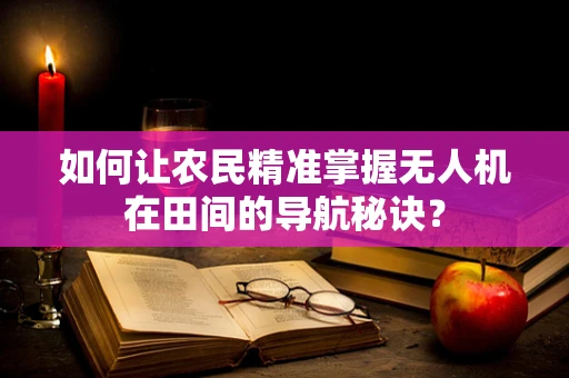 如何让农民精准掌握无人机在田间的导航秘诀？