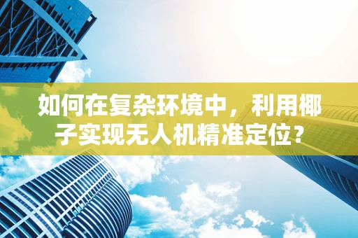 如何在复杂环境中，利用椰子实现无人机精准定位？