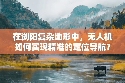 在浏阳复杂地形中，无人机如何实现精准的定位导航？