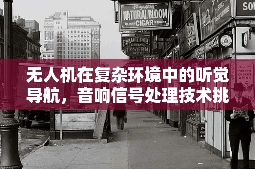 无人机在复杂环境中的听觉导航，音响信号处理技术挑战何在？