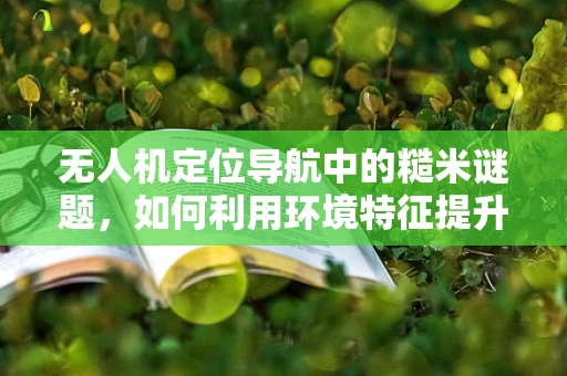 无人机定位导航中的糙米谜题，如何利用环境特征提升精度？