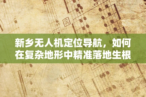 新乡无人机定位导航，如何在复杂地形中精准落地生根？