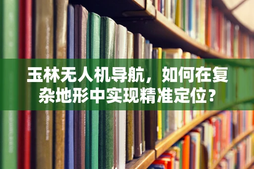 玉林无人机导航，如何在复杂地形中实现精准定位？