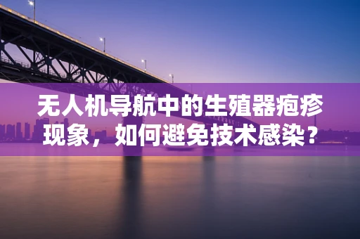 无人机导航中的生殖器疱疹现象，如何避免技术感染？