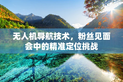 无人机导航技术，粉丝见面会中的精准定位挑战