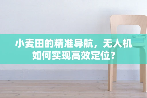 小麦田的精准导航，无人机如何实现高效定位？