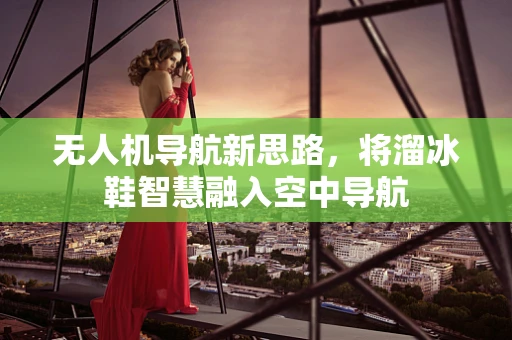 无人机导航新思路，将溜冰鞋智慧融入空中导航