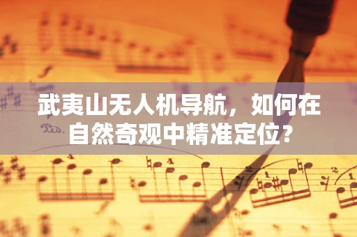 武夷山无人机导航，如何在自然奇观中精准定位？