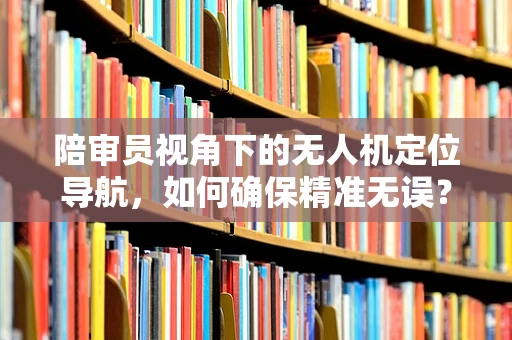 陪审员视角下的无人机定位导航，如何确保精准无误？