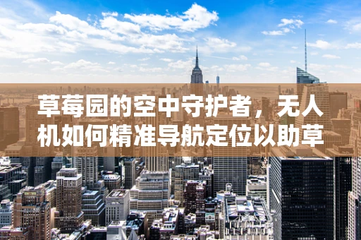 草莓园的空中守护者，无人机如何精准导航定位以助草莓丰收？