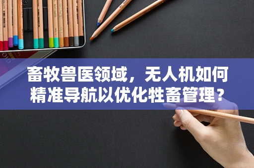 畜牧兽医领域，无人机如何精准导航以优化牲畜管理？