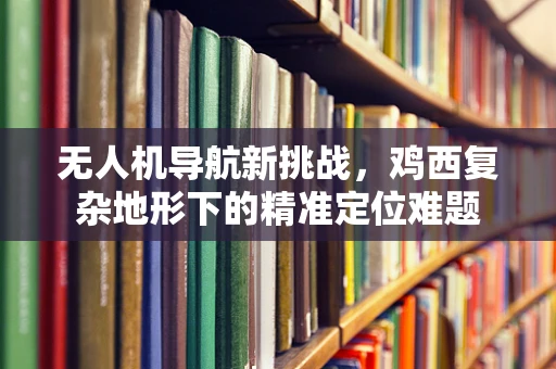 无人机导航新挑战，鸡西复杂地形下的精准定位难题
