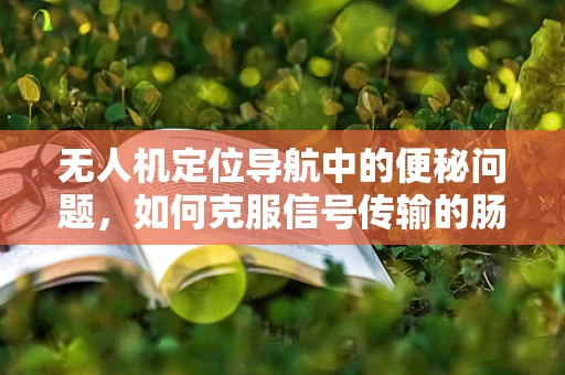 无人机定位导航中的便秘问题，如何克服信号传输的肠梗阻？