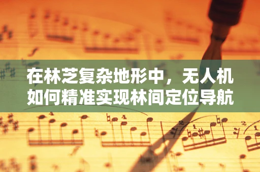 在林芝复杂地形中，无人机如何精准实现林间定位导航？