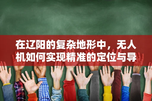 在辽阳的复杂地形中，无人机如何实现精准的定位与导航？