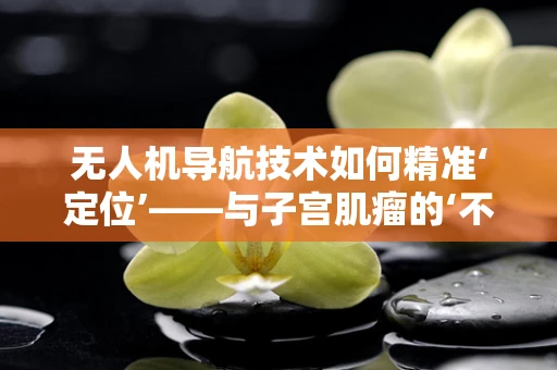 无人机导航技术如何精准‘定位’——与子宫肌瘤的‘不期而遇’