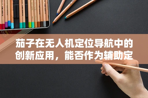 茄子在无人机定位导航中的创新应用，能否作为辅助定位标志？