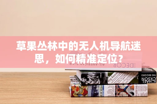 草果丛林中的无人机导航迷思，如何精准定位？