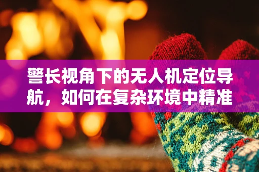 警长视角下的无人机定位导航，如何在复杂环境中精准锁定目标？